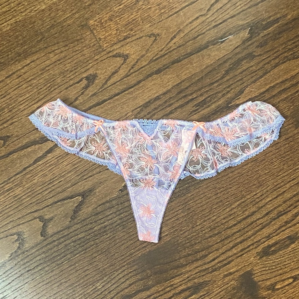 Victoria’s Secret Embroidered Mesh Panties